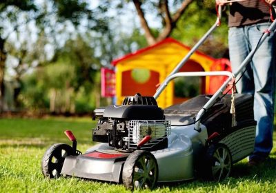 First time lawn owner? What you need to know?